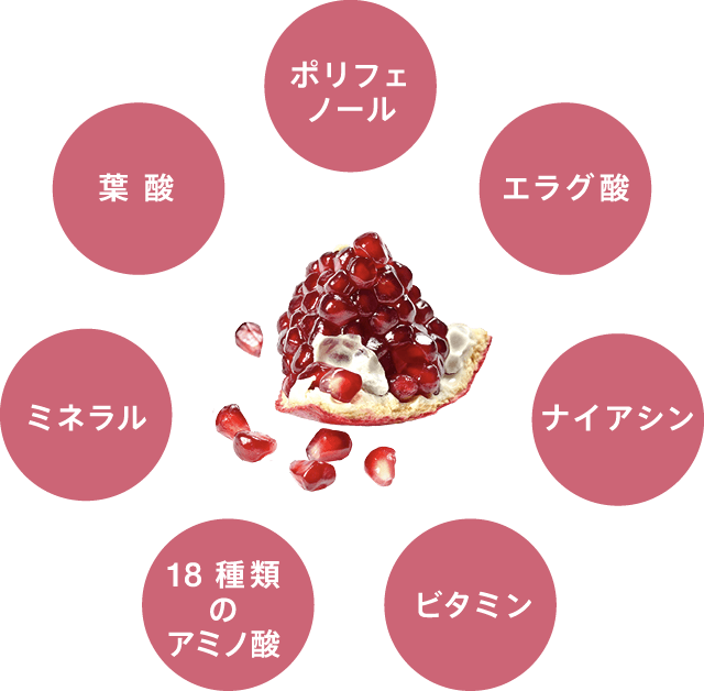 ザクロの栄養素（ポリフェノール、エラグ酸、ナイアシン、ビタミン、18種類のアミノ酸、ミネラル、葉酸）