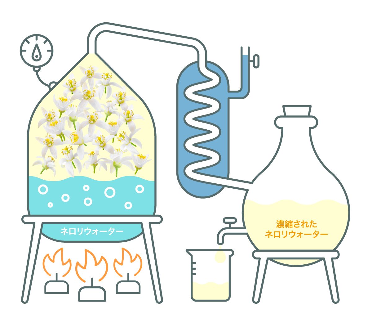水蒸気蒸留法のイラスト