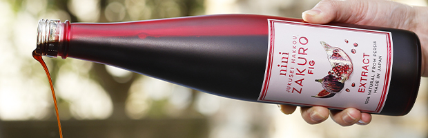 熟成発酵ザクロエキスバナー