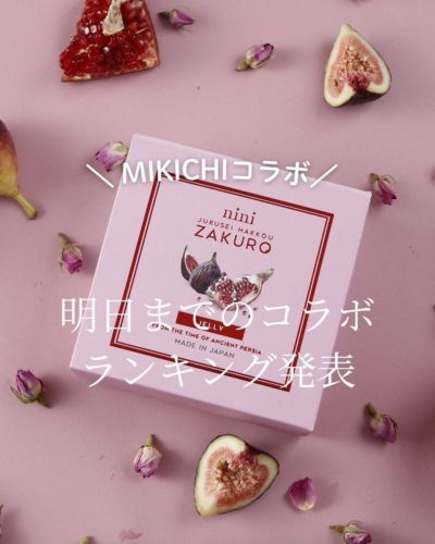 nini 熟成発酵ザクロペースト　30包 2個おまとめ 熟成発酵ザクロペースト(30包入) – nini