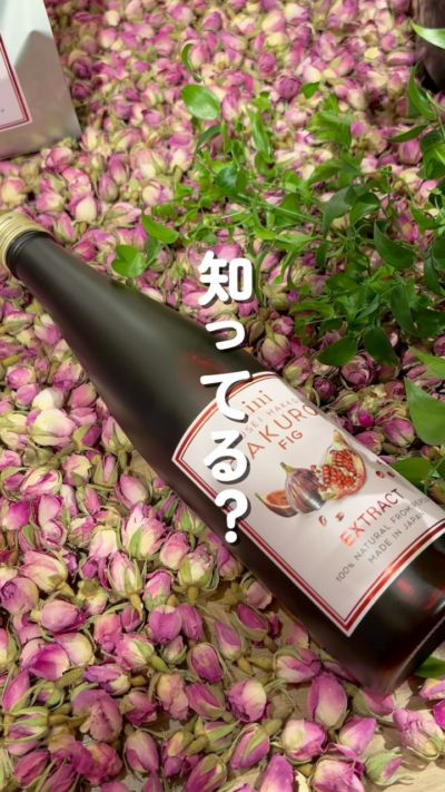 Rose Otto – nini