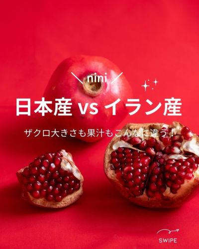 ニニ ザクロエキス(5倍濃縮タイプ) – nini ニニ ザクロエキス(5倍濃縮タイプ) – nini